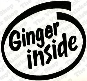 gingerinside